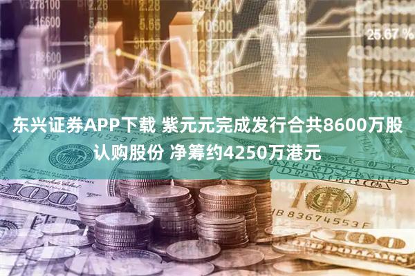 东兴证券APP下载 紫元元完成发行合共8600万股认购股份 净筹约4250万港元