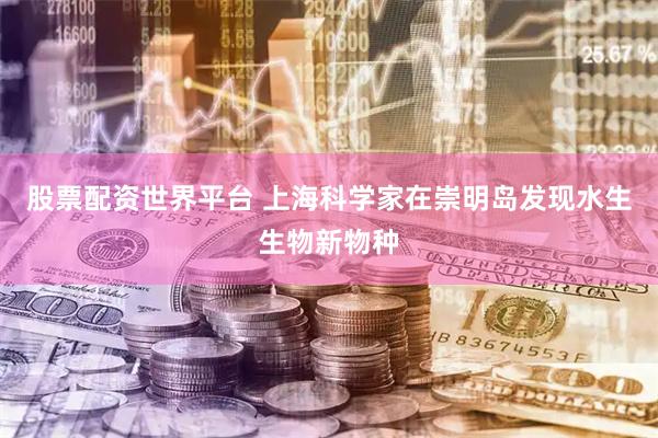 股票配资世界平台 上海科学家在崇明岛发现水生生物新物种