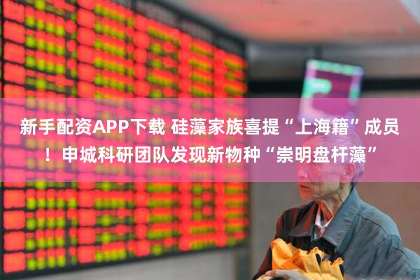 新手配资APP下载 硅藻家族喜提“上海籍”成员！申城科研团队发现新物种“崇明盘杆藻”