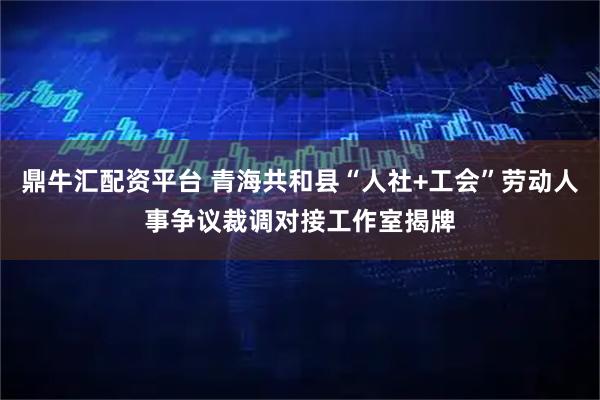 鼎牛汇配资平台 青海共和县“人社+工会”劳动人事争议裁调对接工作室揭牌