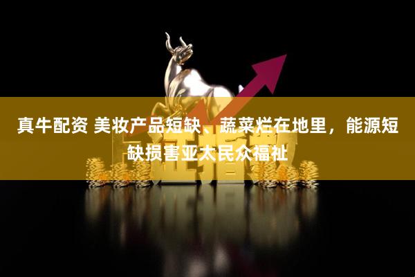 真牛配资 美妆产品短缺、蔬菜烂在地里，能源短缺损害亚太民众福祉