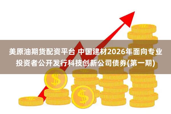 美原油期货配资平台 中国建材2026年面向专业投资者公开发行科技创新公司债券(第一期)