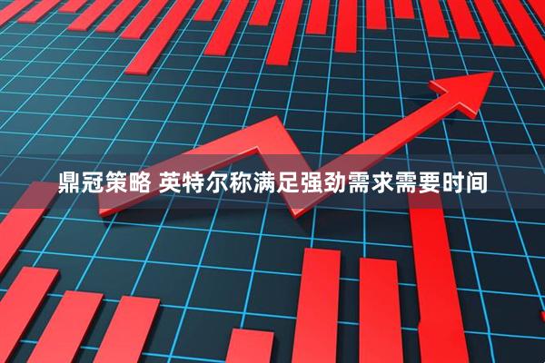 鼎冠策略 英特尔称满足强劲需求需要时间