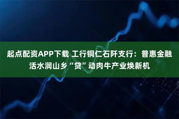 起点配资APP下载 工行铜仁石阡支行：普惠金融活水润山乡“贷”动肉牛产业焕新机
